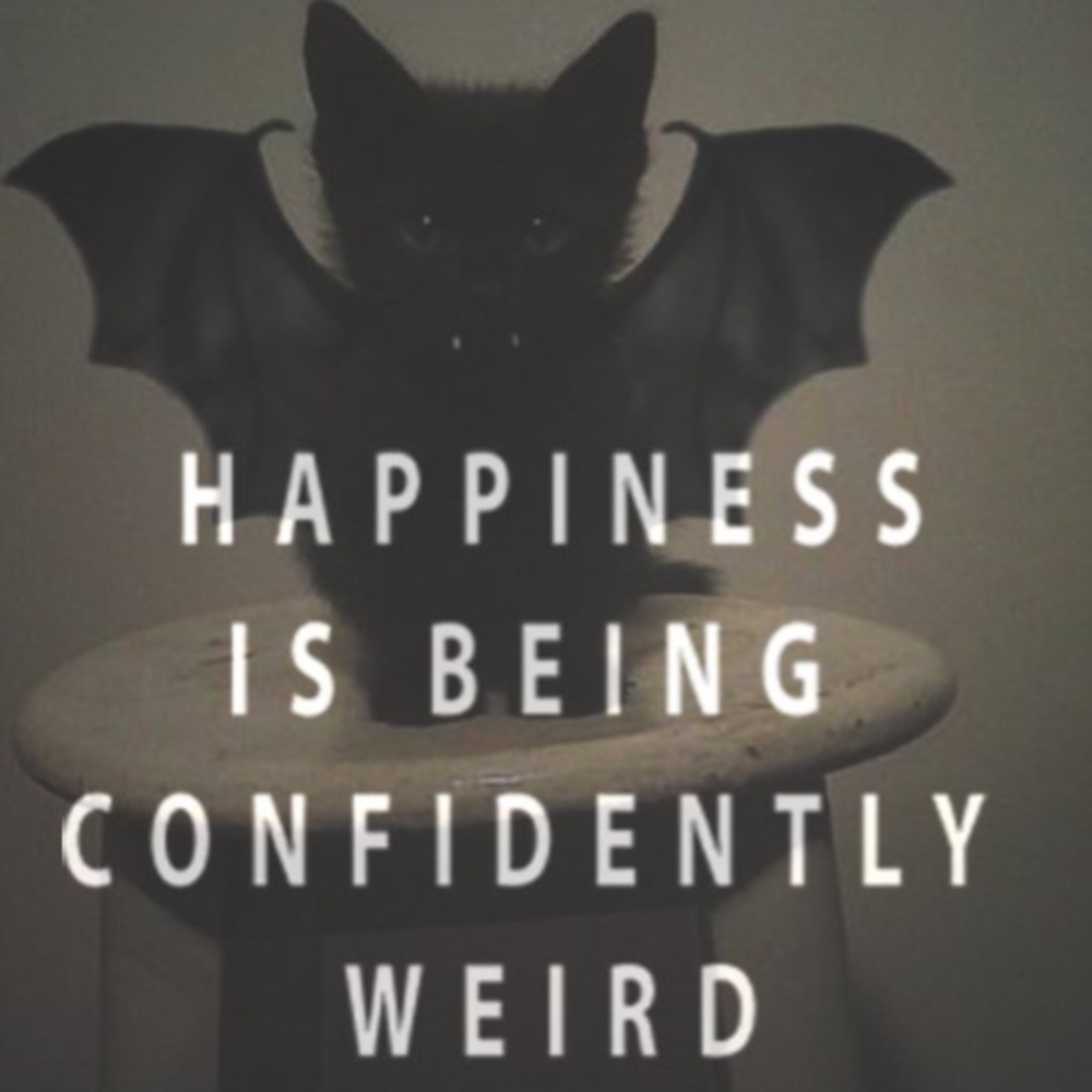 SAVAGE LIVE SHOW 🤡 🤡 🤡 Like to be Notified When I go LIVE! - Picture 10 of 15